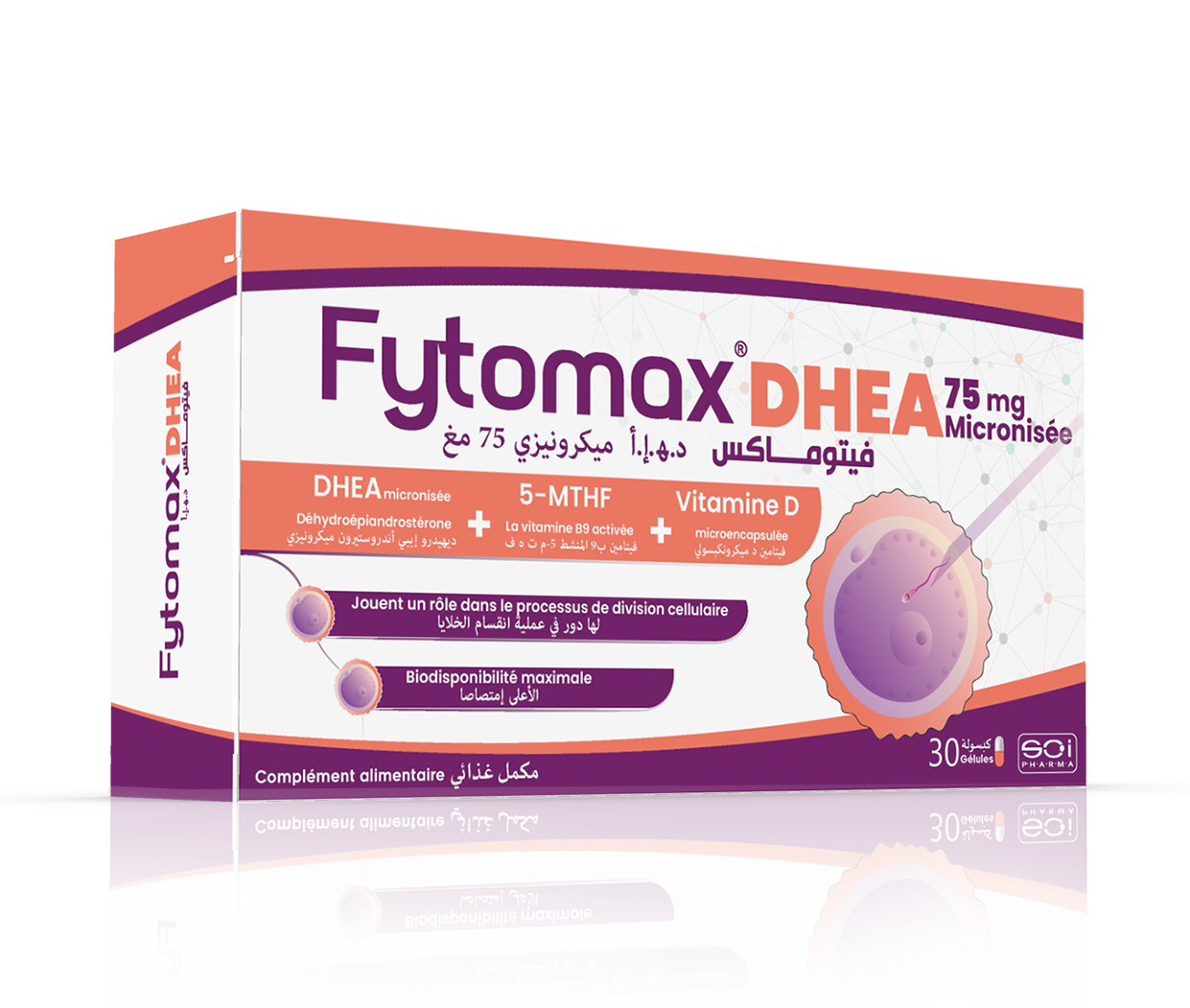 Fytomax DHEA®